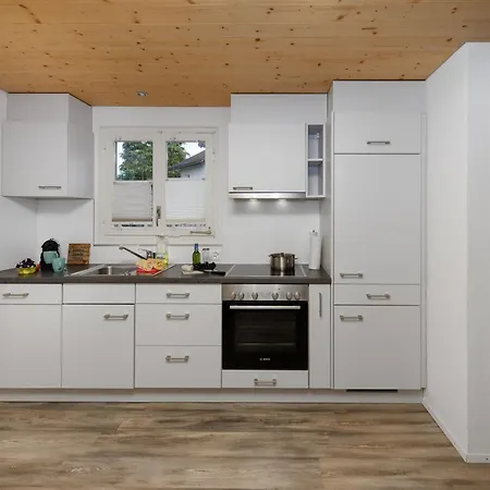 Nyaraló Dori By Interhome Interlaken